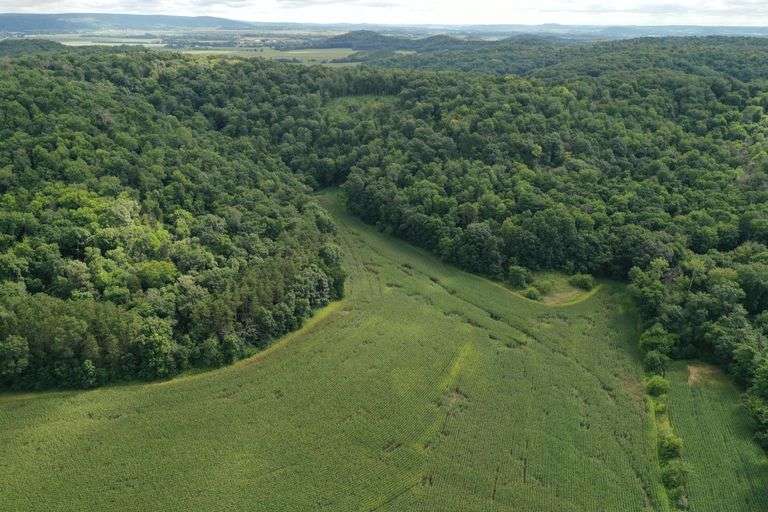 52.45± Acres