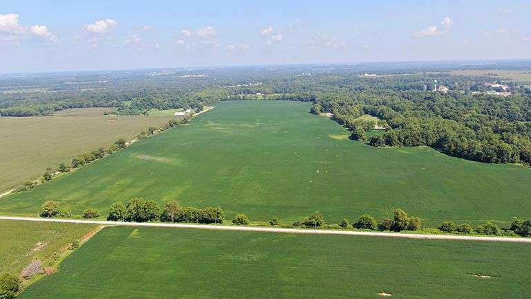 Wilfong - Rush County