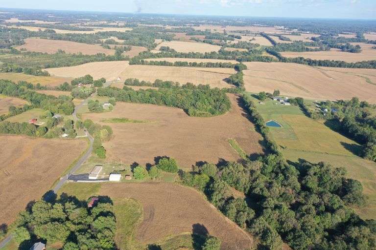 55 ACRES WINGO KY