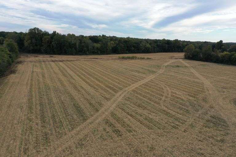 115 ACRES IN 5 FARMS FARMINGTON KY