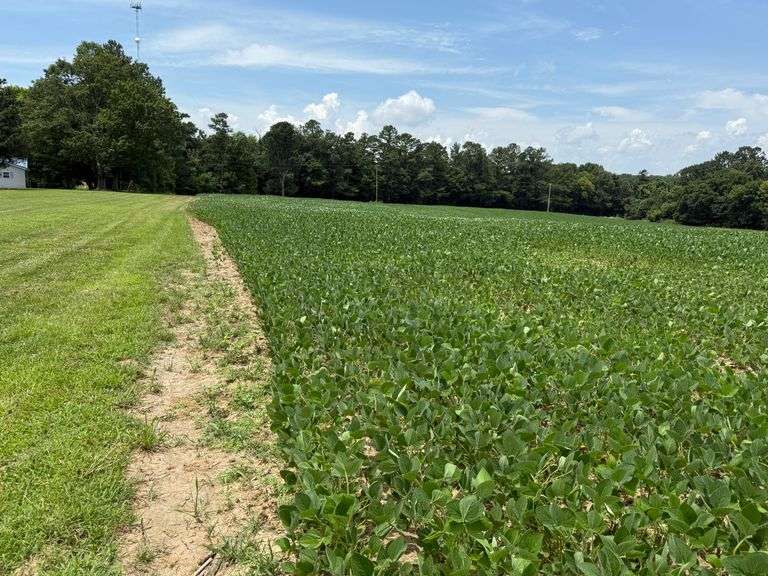 18 ACRES IN FARMINGTON KY