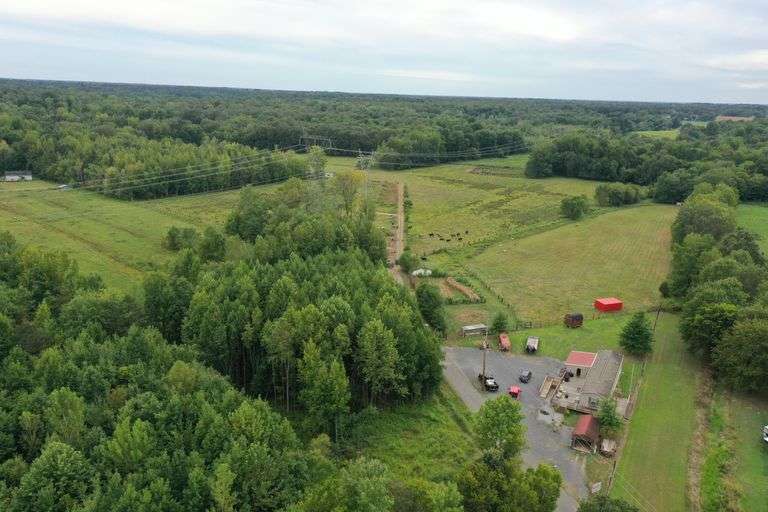 29.25 ACRES IN BENTON KY 