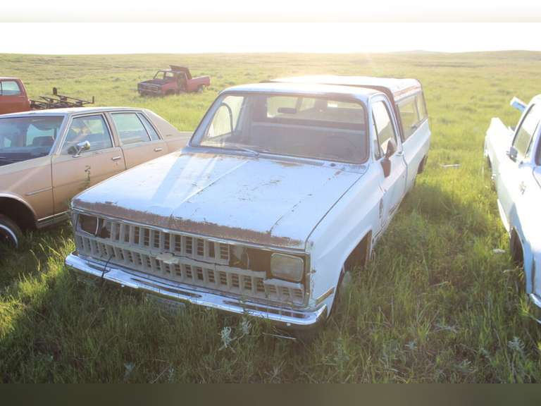 Chevy Scottsdale 10 w/ topper