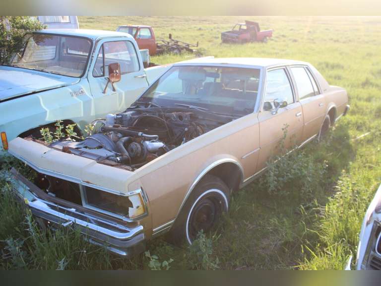 Caprice Classic Car