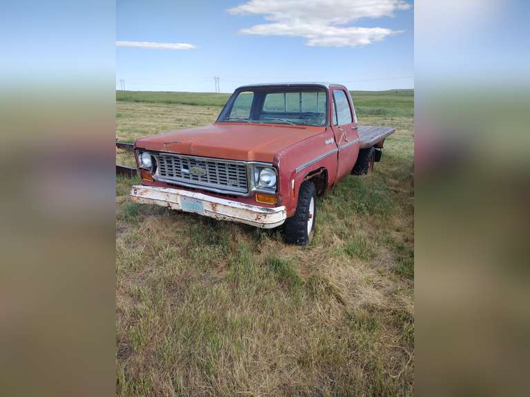 '74 Chevy Custom Deluxe 20