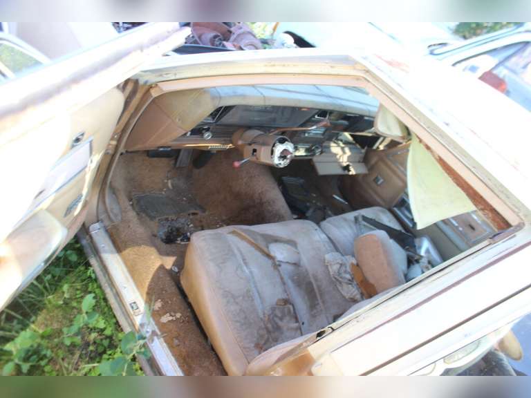 Caprice Classic Car