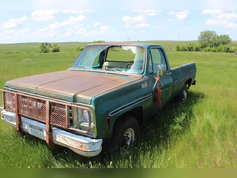 1978 Chevy Custom Deluxe 20