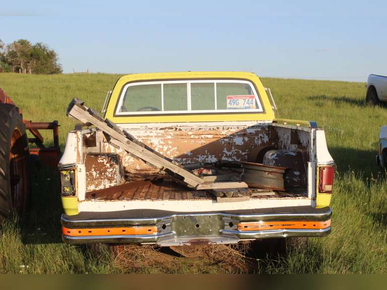 Chevy Scottsdale 20