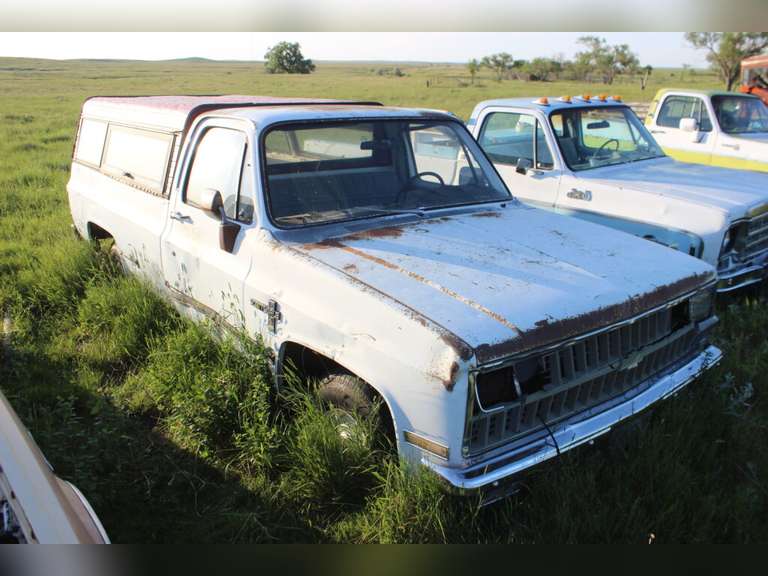 Chevy Scottsdale 10 w/ topper