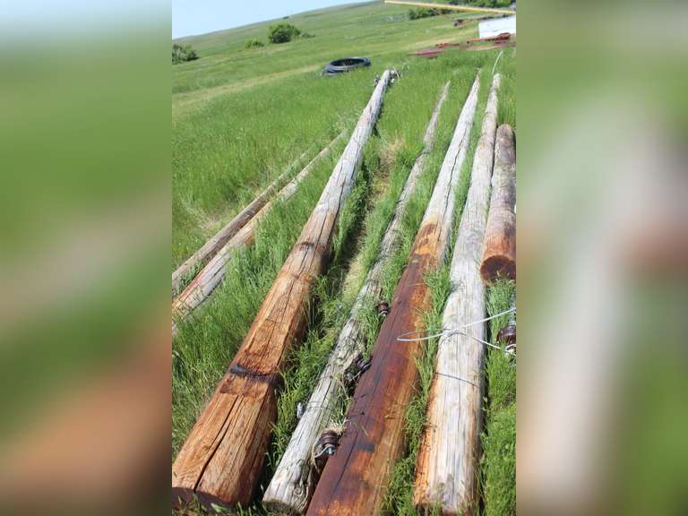 REA Poles and wood posts