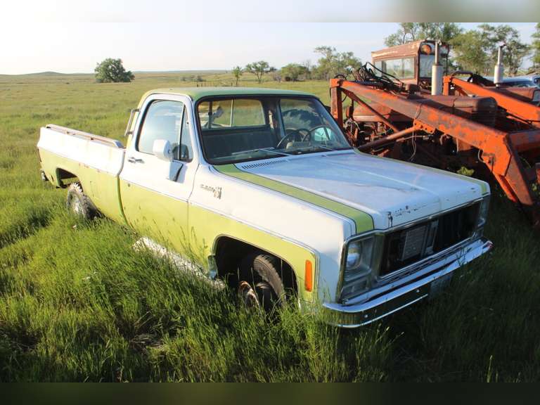 Chevy Scottsdale 20