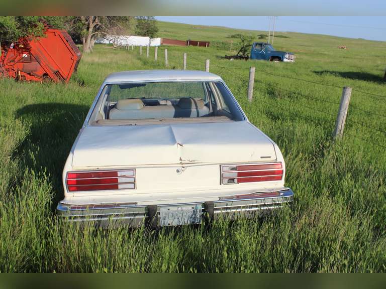 White Dodge Aspen