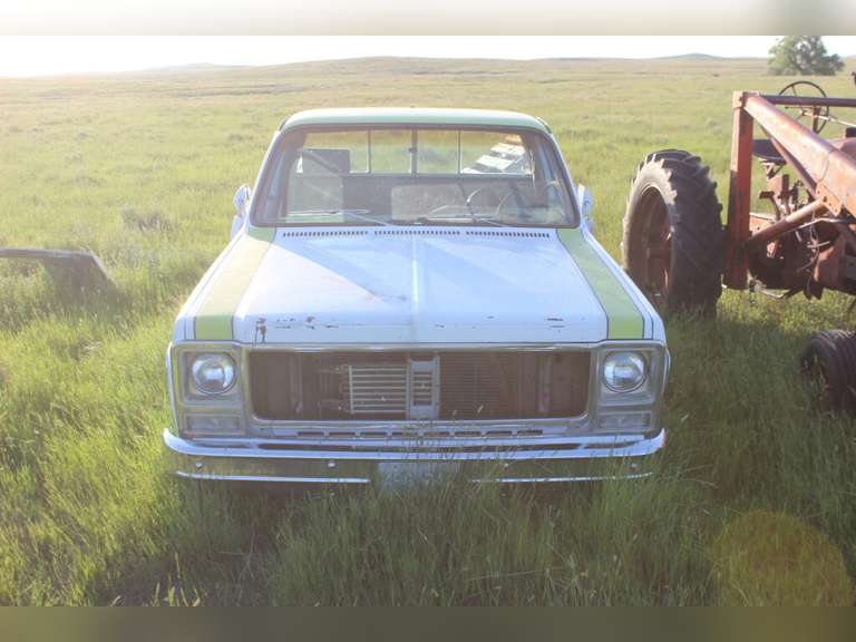 Chevy Scottsdale 20
