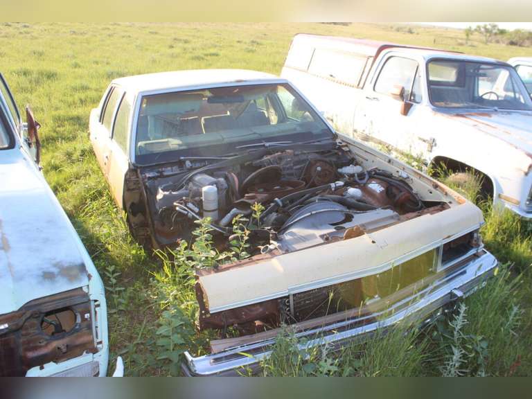 Caprice Classic Car