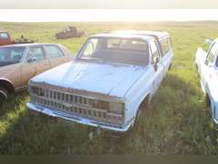 Chevy Scottsdale 10 w/ topper