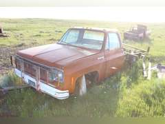 Chevy Custom Deluxe 20 - Orange