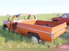 Chevy Custom 10
