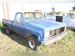 Chevy Scottsdale 20
