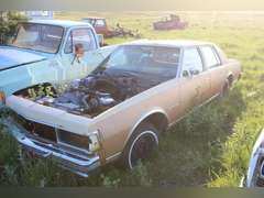 Caprice Classic Car