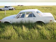 White Dodge Aspen