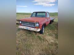 '74 Chevy Custom Deluxe 20
