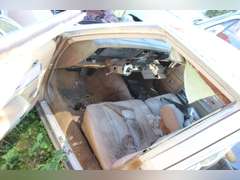 Caprice Classic Car