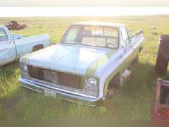 Chevy Scottsdale 20