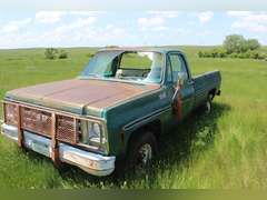 1978 Chevy Custom Deluxe 20