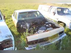 Caprice Classic Car