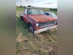'74 Chevy Custom Deluxe 20