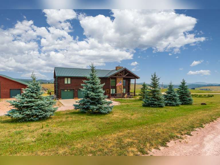 23470 Mineral Lane Auction 