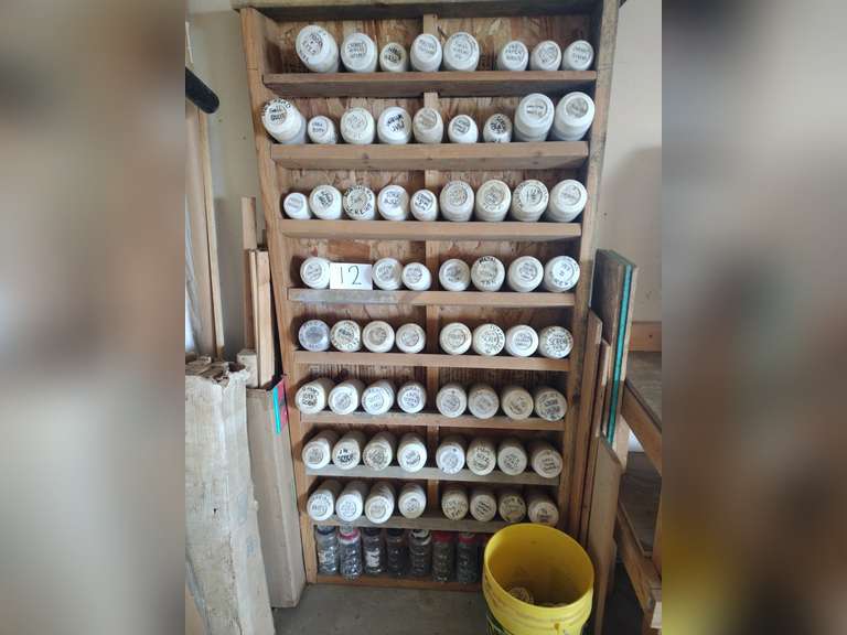 Various Nuts, Bolts, and Screws 2