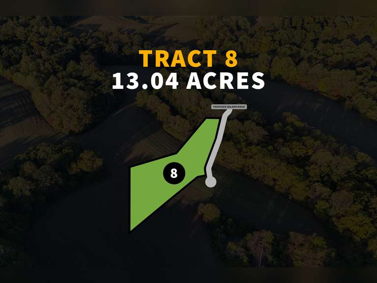 Tract 8 — 13.04 Acres