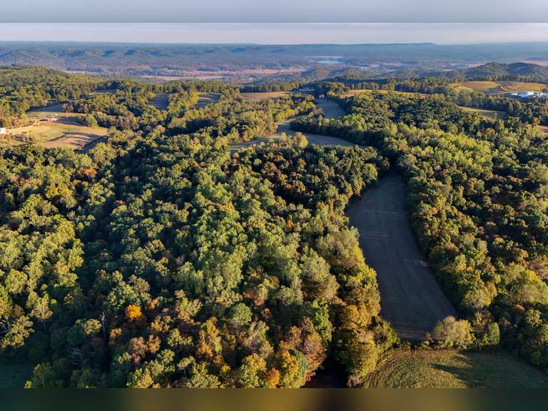 155 Acres - 10 Tracts | Starlight Estate Multipar Online Auction