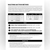 Thumbnail image of Multipar Auction Method