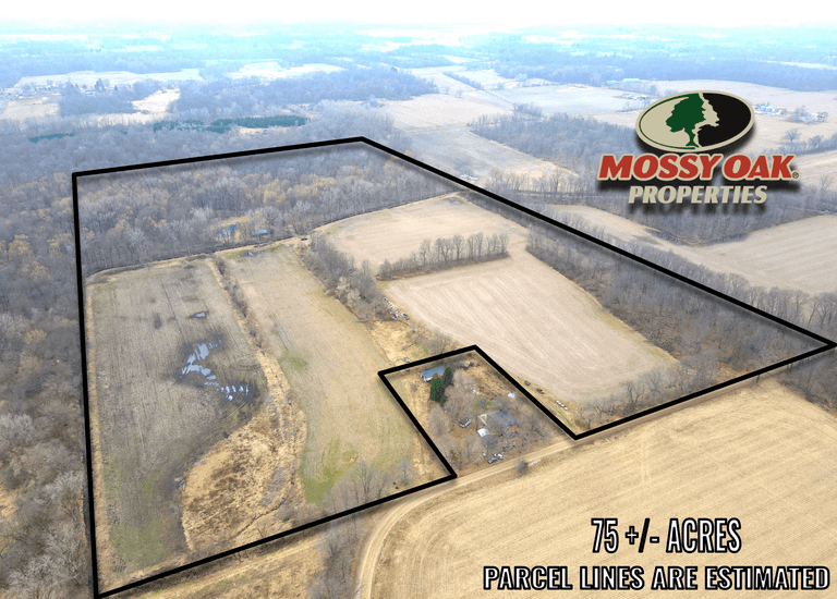 ONLINE ONLY AUCTION - E County Line Rd - 75 +/- ACRES - BRANCH COUNTY