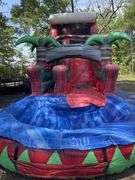20' Inflatable Water Slide
