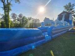 Polar 20' Inflatable Water Slide