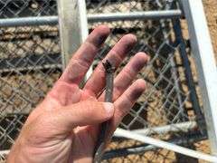 (3) Fence Gates & RKI Truck Rack