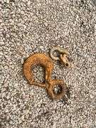 (2) Shackle & (1) Crane Hook