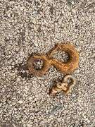 (2) Shackle & (1) Crane Hook