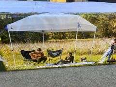Ozark Trail 10'x10' Straight Leg Simple Push Canopy