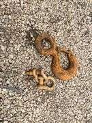(2) Shackle & (1) Crane Hook