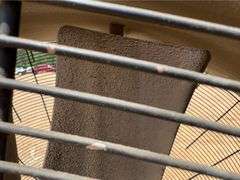 County Line 60" Electric Fan