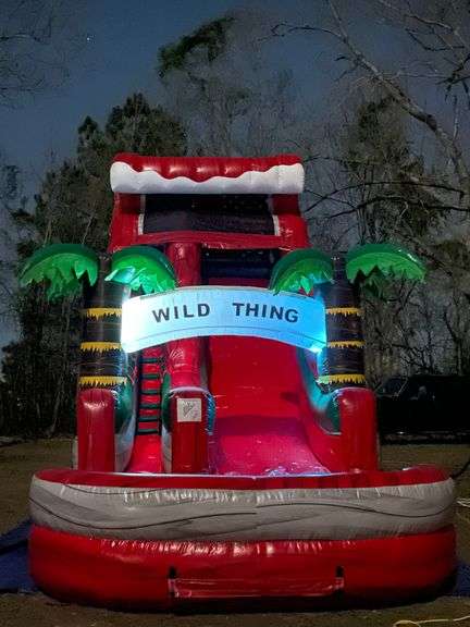 Wild Things Single Lane 18' Inflatable Water Slide