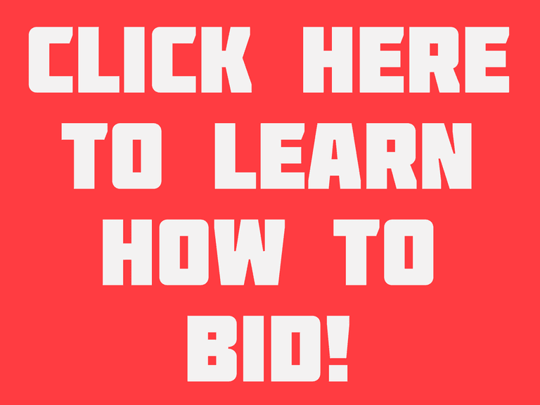 Learn how to bid!