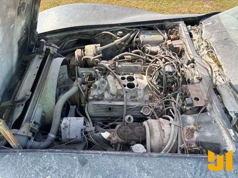 1981 CHEVROLET CORVETTE VIN: 1G1AY8761BS413504