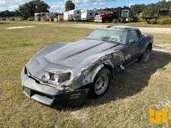 1981 CHEVROLET CORVETTE VIN: 1G1AY8761BS413504