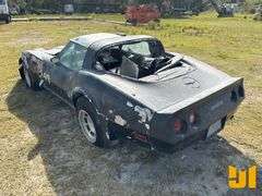 1981 CHEVROLET CORVETTE VIN: 1G1AY8761BS413504