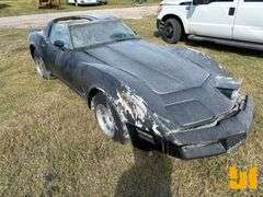 1981 CHEVROLET CORVETTE VIN: 1G1AY8761BS413504